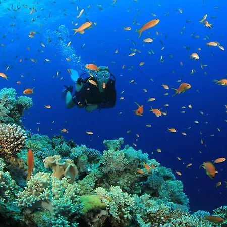 Costa D'oiro Ambiance Village 4* Λάγος