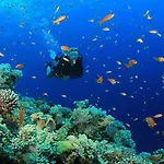 Costa D'oiro Ambiance Village 4* Lagos